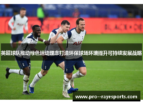 英超球队推动绿色运动理念打造环保球场环境提升可持续发展战略 英超球队推动绿色运动理念打造环保球场环境提升可持续发展战略
